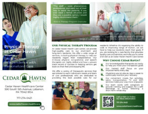 Physical Therapy Trifold copy@2x-80